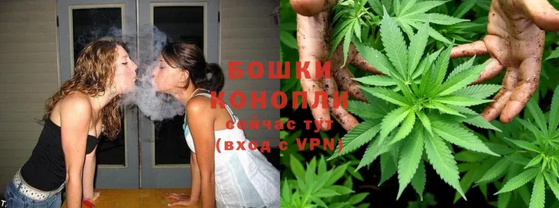 Конопля Ganja  Козловка 